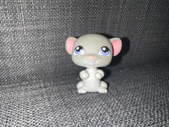 Pet shop souris #105