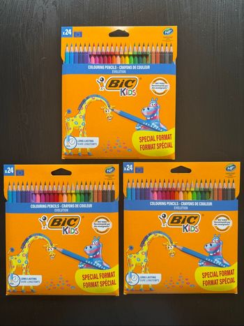 Lot de 3 packs crayons de couleurs (24 crayons)