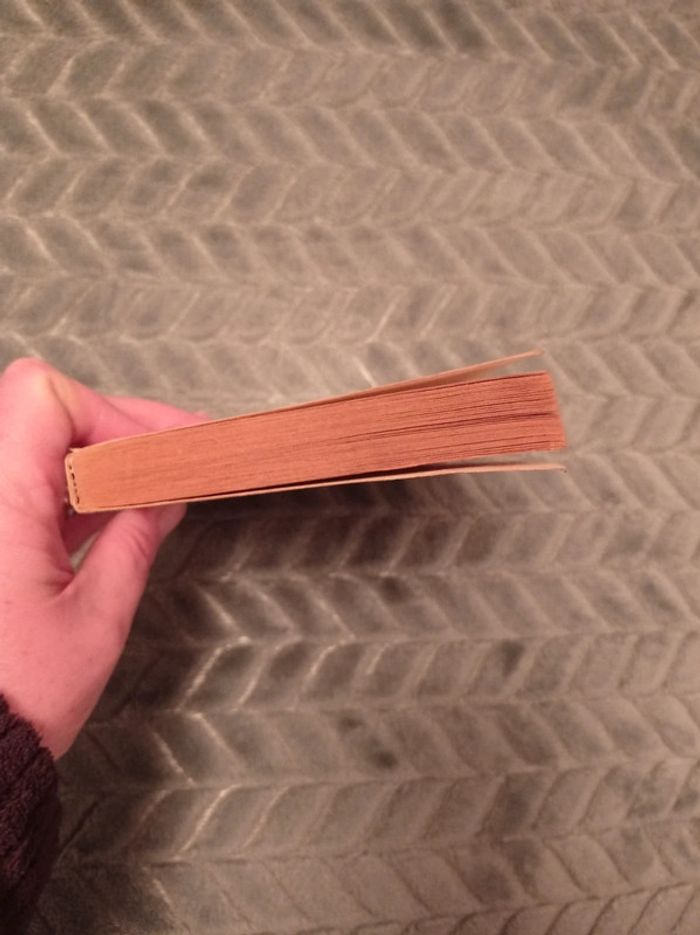 La mystérieuse affaire de styles, Agatha Christie - photo numéro 3