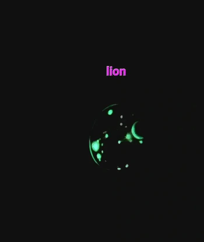 Porte-clés signe astrologique lion - photo numéro 2