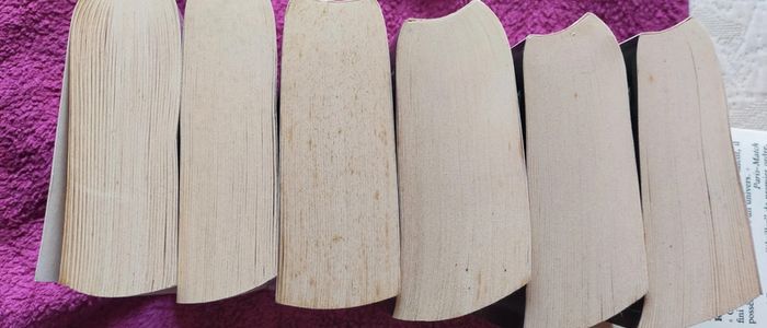 Cycle d'Ogier d'Argouges de Pierre Naudin - photo numéro 3