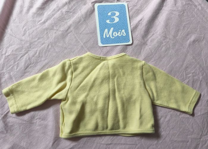 Gilet jaune 3 mois - photo numéro 2