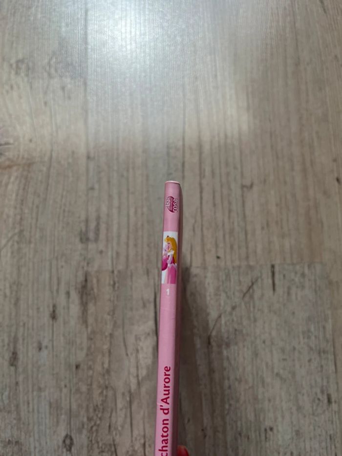 Tome 1 Palace pets - photo numéro 3