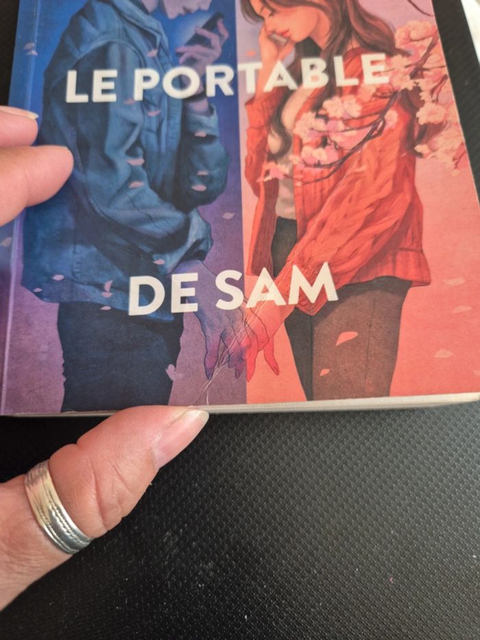 livre vous êtes sur le portal de sam de Dustin Thao - photo numéro 5
