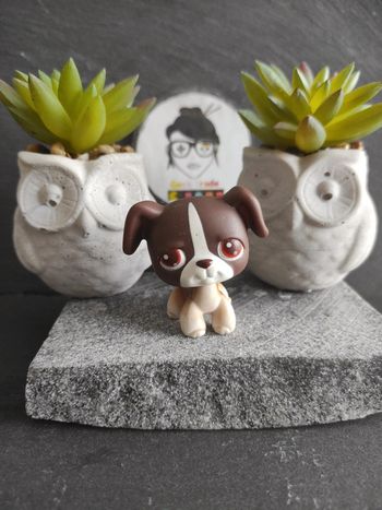Littlest Petshop Pet Shop LPs chien Boxer 287 dog #geektradelpschien