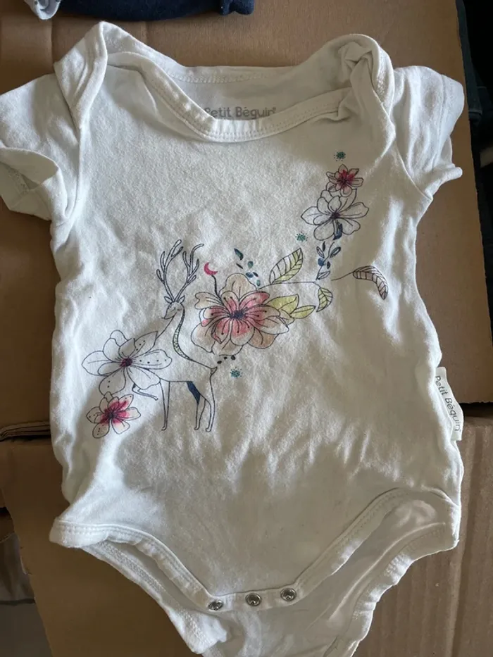 Lot 3 body - photo numéro 4