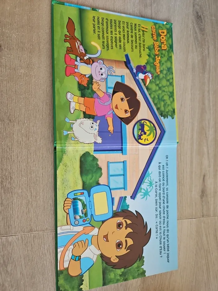 Livre dora l'exploratrice - photo numéro 3
