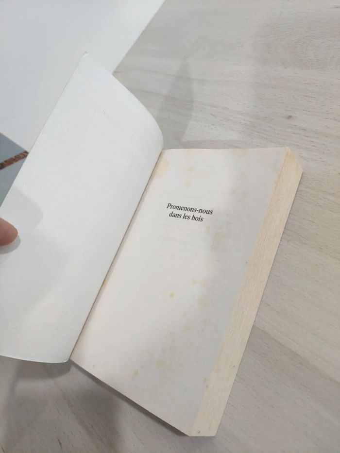 Livre poche Payot Voyageurs Promenons nous dans les bois Bill Bryson - photo numéro 5