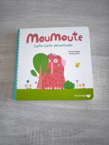 Livre Moumoute cache cache moumoute