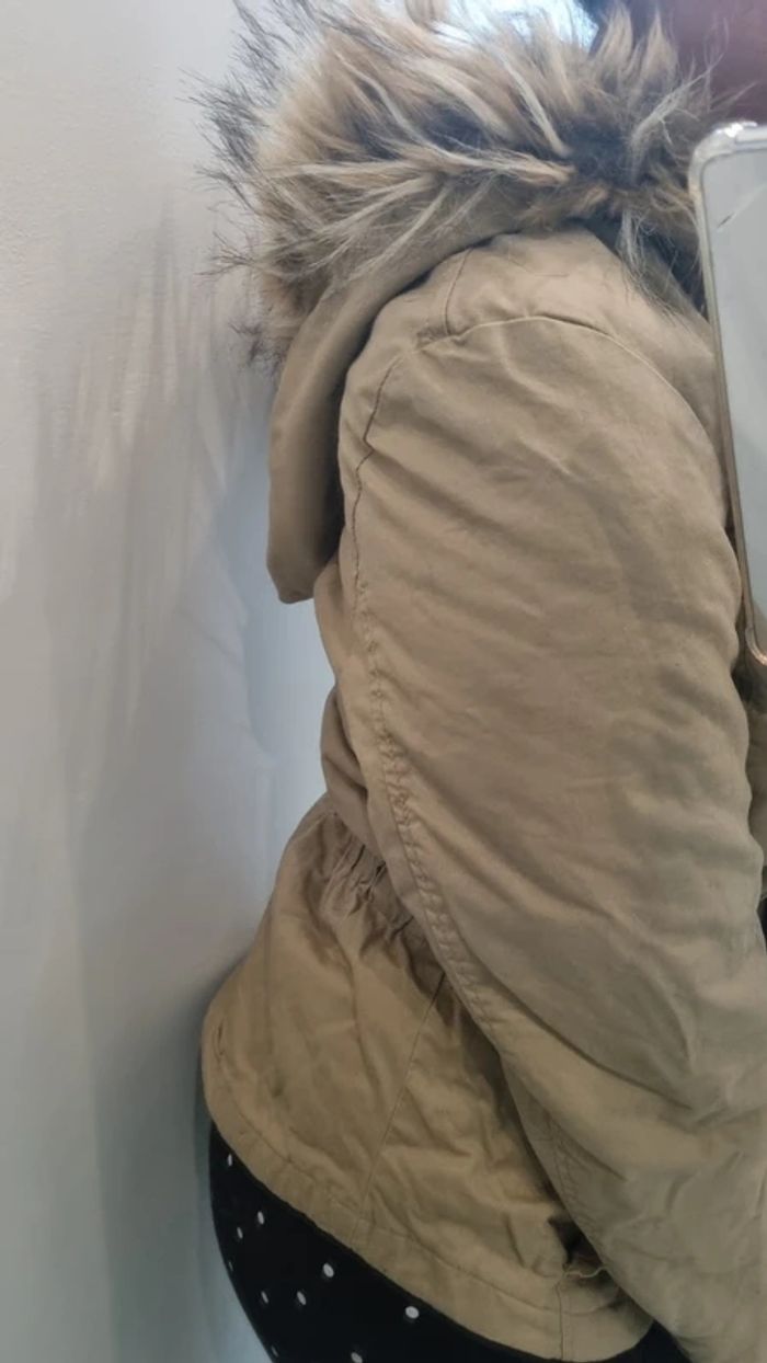 Veste - photo numéro 2