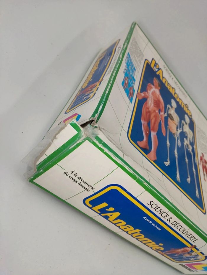 L'anatomie / Corps Humain / 1987 vintage Laffont semble complet voir photos - photo numéro 3