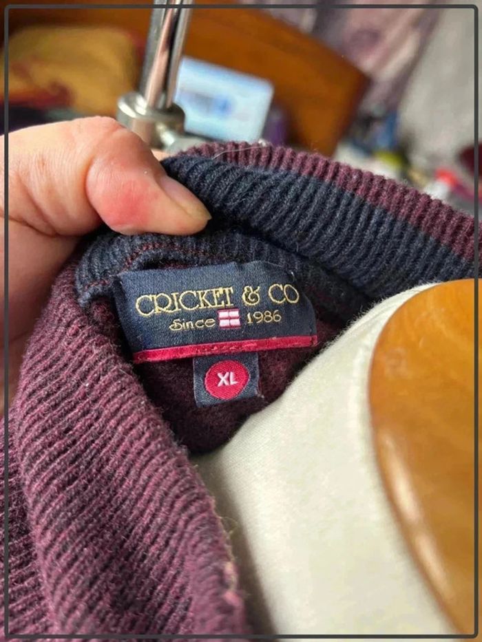 Pull taille 42 marque cricket & co - photo numéro 3
