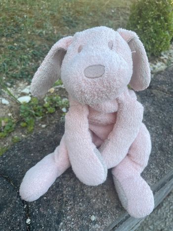 Doudou chien