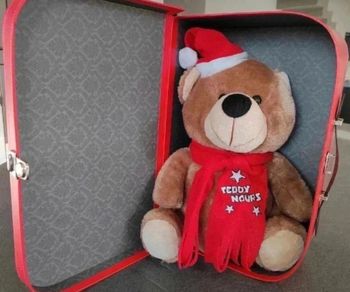 25 € Ours Teddy de Noël – Neuf en boîte cadeau