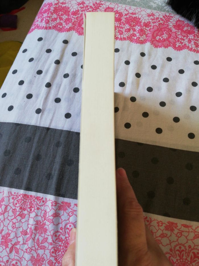 Un chien du diable - photo numéro 4