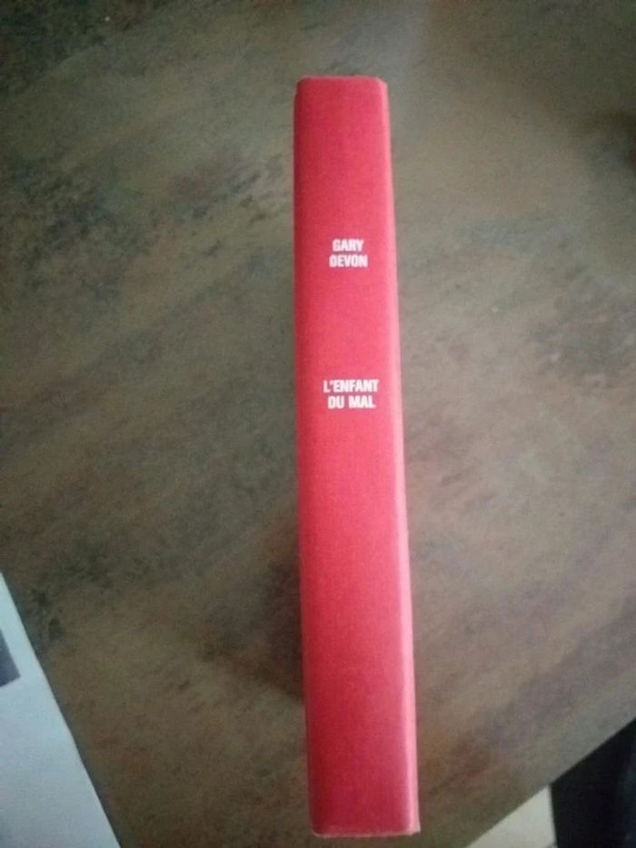 Livre à reliure L'enfant du mal - photo numéro 2
