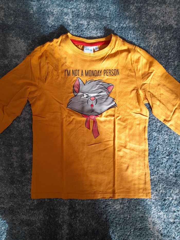 Lot tee-shirt aristochat jumeaux - photo numéro 2