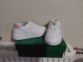 Basket lacoste 