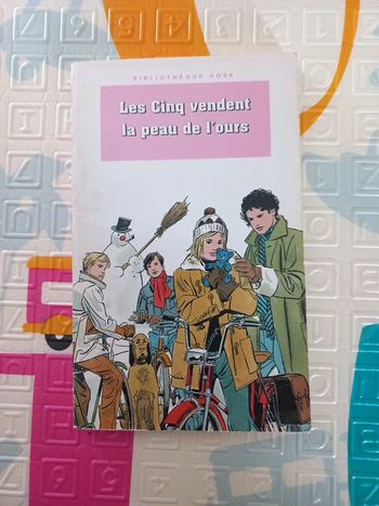 Livre pour enfant Les cinq vendent la peau de l'ours