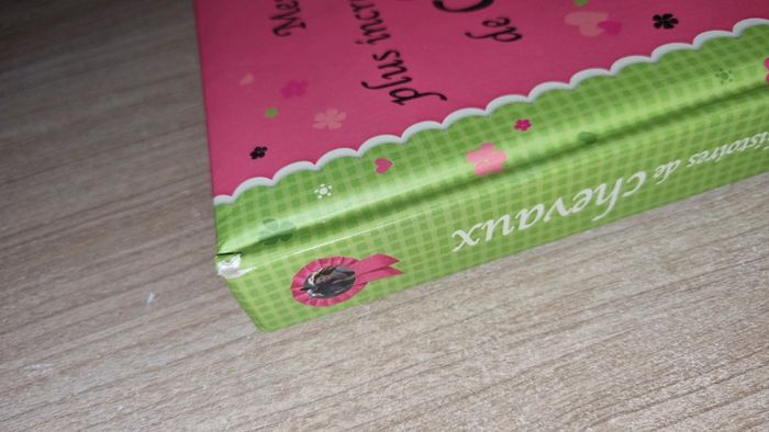 Livre chevaux - photo numéro 4