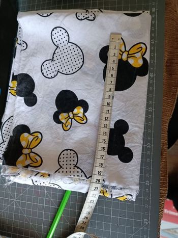 Coupon Tête Minnie