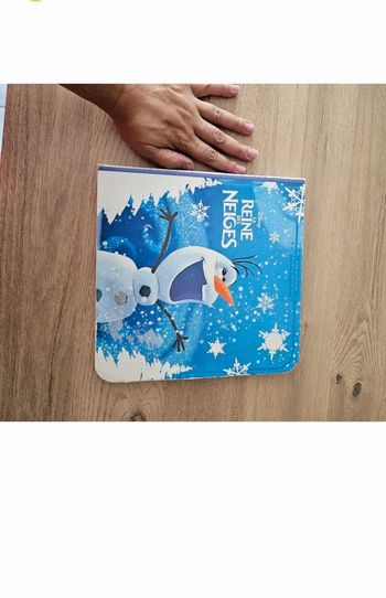 Livre reines des neiges / cartonée