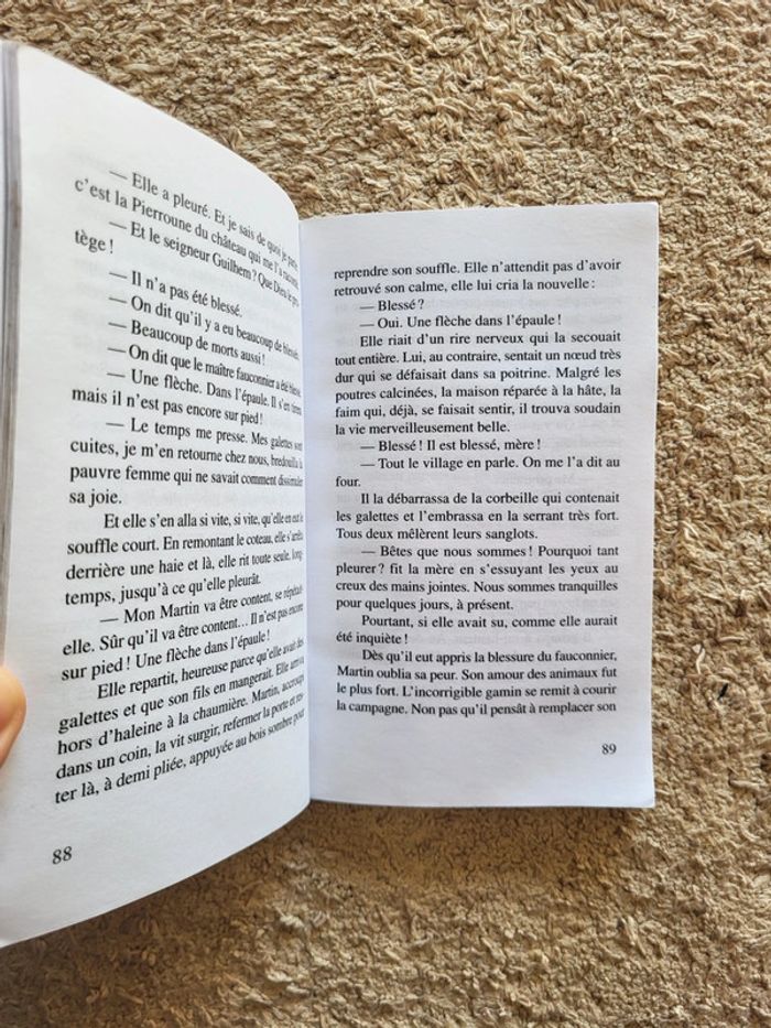 Roman jeunesse Le faucon déniché de Jean-Côme Noguès - photo numéro 7