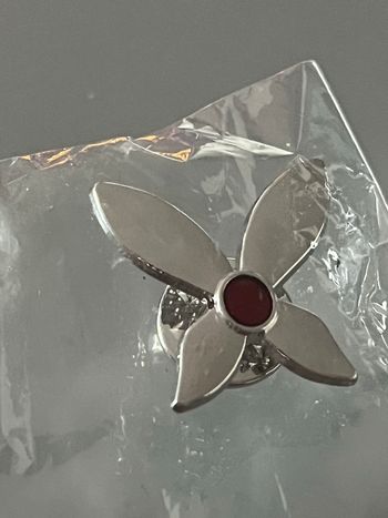 Pins papillon 