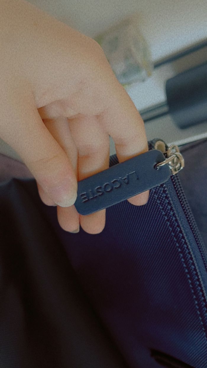 Sac main lacoste - photo numéro 4