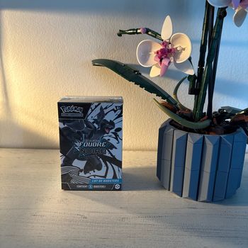 Bundle foudre noire