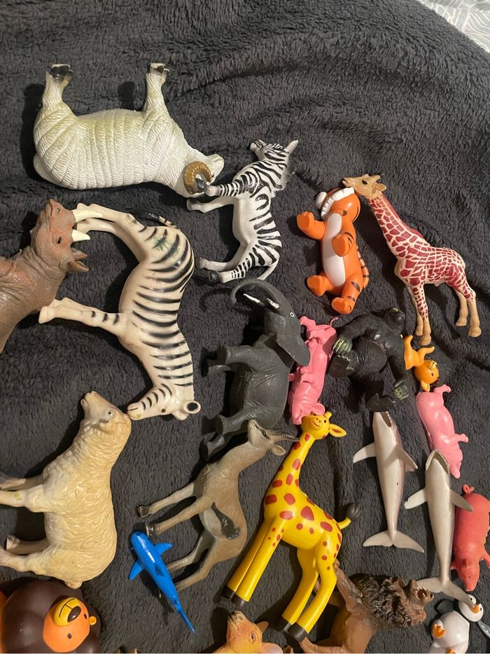 Lot animaux - photo numéro 5