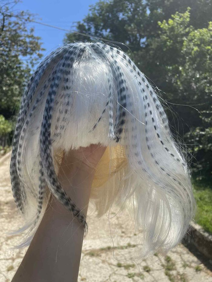 perruque - photo numéro 4