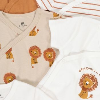 Lot de 5 bodies manches courtes