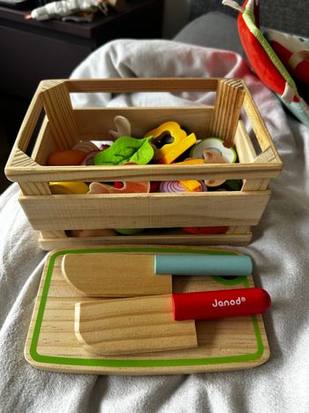 Jeu en bois djeco