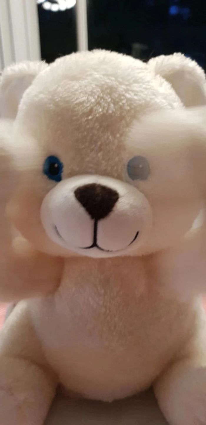 Ours gipsy coucou - photo numéro 3