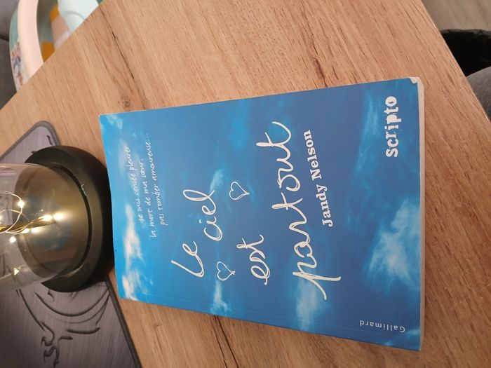 LIVRE LE CIEL EST PARTOUT DE JANDY NELSON - photo numéro 1