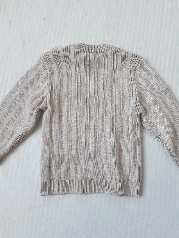 Pull Terre de Marins 23 mois - photo numéro 4