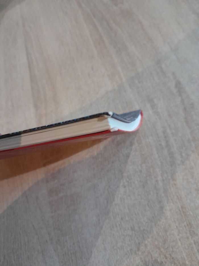 Roman Cars - photo numéro 3