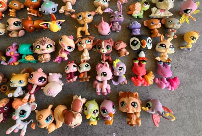 Little Petshop - photo numéro 7