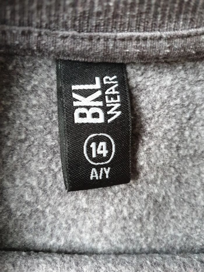 Sweat shirt 14 ans garçon - photo numéro 4