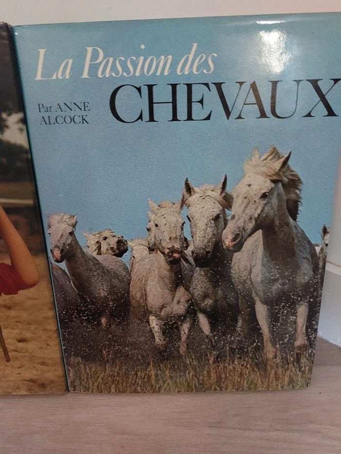 Livres en lot ou à l'unité La passion des chevaux/ la passion des poneys - photo numéro 2