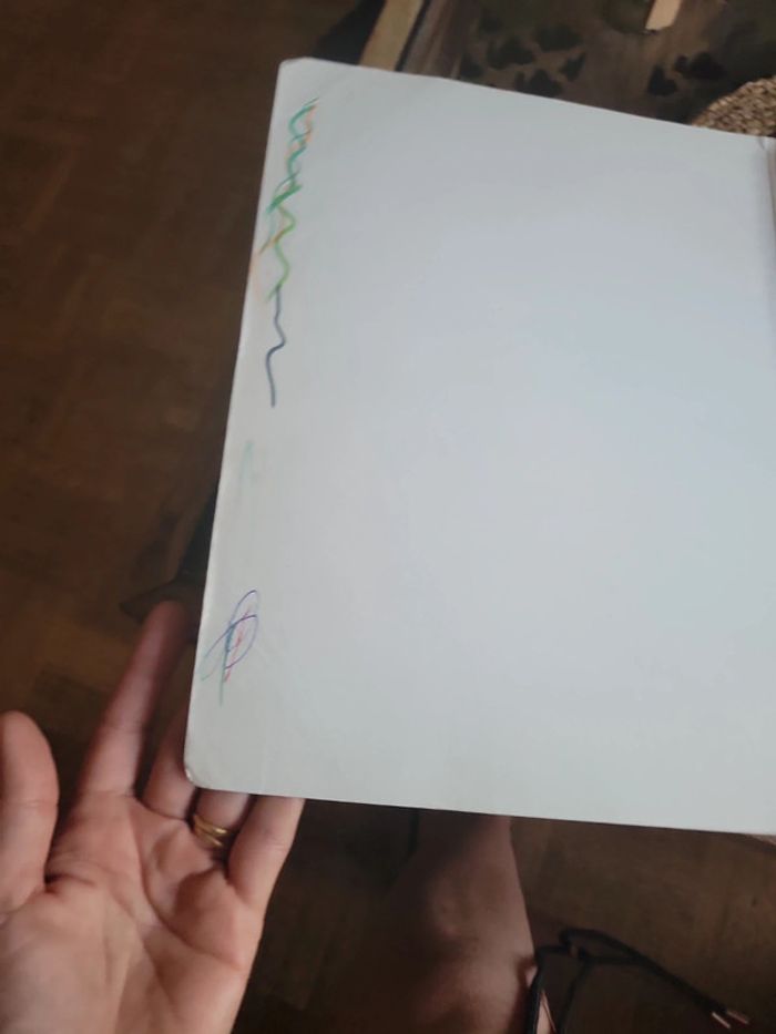 La guitare I. Didier Begon. - photo numéro 7