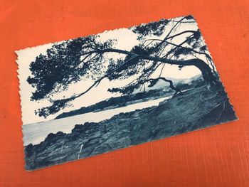 Carte postale ancienne  Toulon (Var)  La baie des Salettes