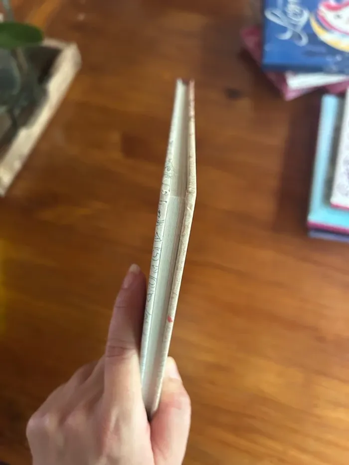 Lot de livres princesses - photo numéro 6