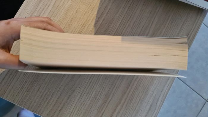 La sorciere d'isle tome 1 - Terry Brooks - photo numéro 2