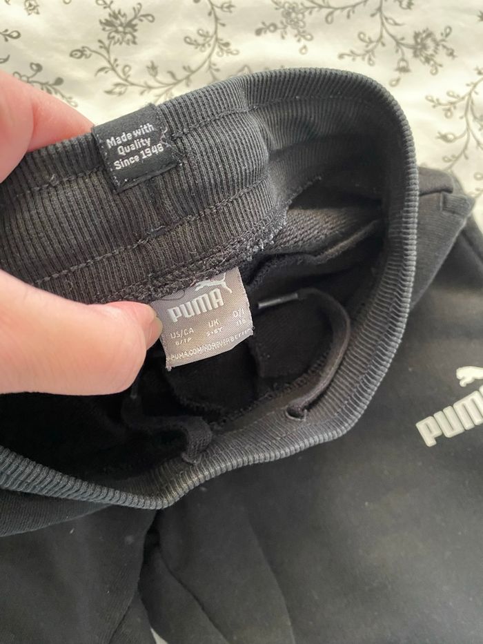 Jogging puma - photo numéro 2