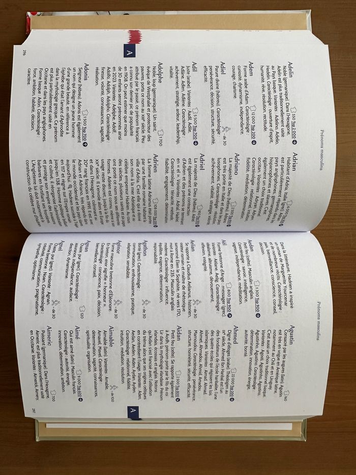 Livre officiel des prénoms 2023 - photo numéro 3