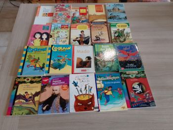 Lot de 20 livres divers (4)