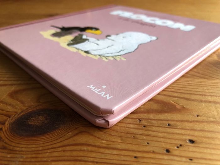 Livre Flocon a du chagrin - photo numéro 5