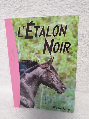 Livre L'étalon noir 1